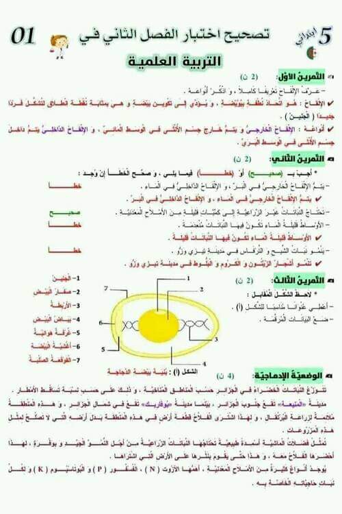 نموذج اختبار امتحان في مادة التربية العلمية الفصل الثاني للسنة الخامسة ابتدائي مع الحل اختبار الفصل الثاني في مادة التربية العلمية