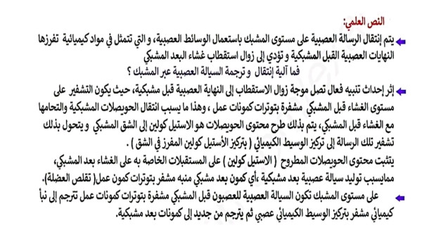 نص علمي حول آلية انتقال السيالة العصبية على مستوى الليف العصبي أولى ثانوي