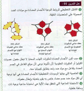 حل التمرين الأول 1 ص 83 علوم طبيعية 4 متوسط