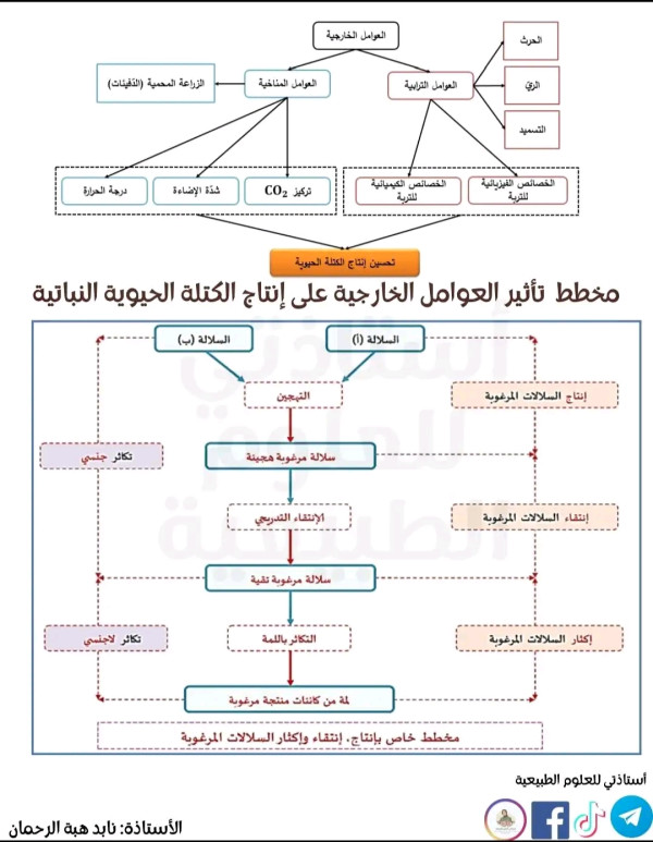 مخطط حول تأثير العوامل الخارجية و العوامل الداخلية على إنتاج الكتلة الحيوية السنة الأولى ثانوي