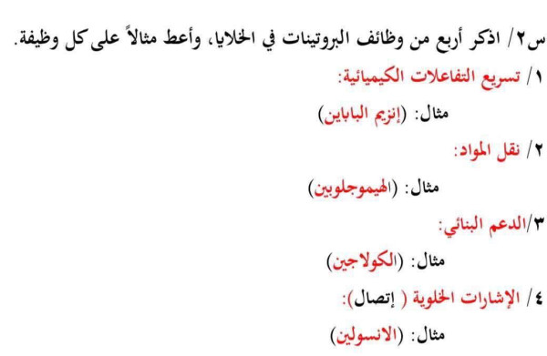 اذكر أربع من وظائف البروتينات في الخلايا واعط مثالا على كل وظيفة